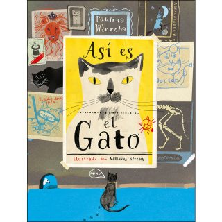 Así es el gato