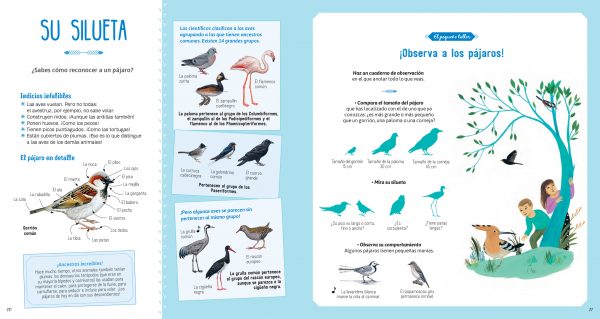 El libro de los pájaros - Imagen 4