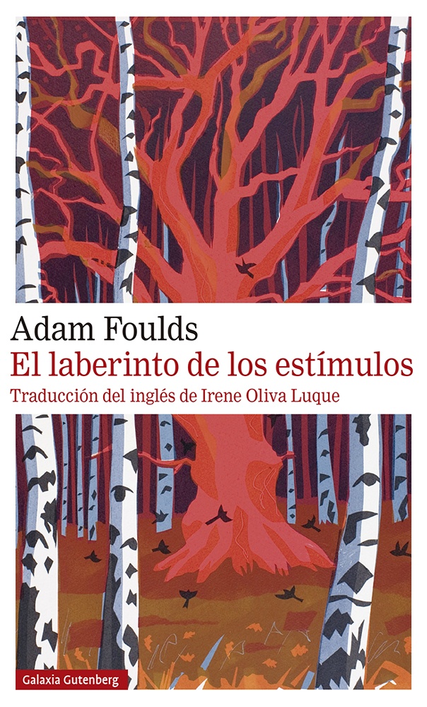 El laberinto de los estímulos