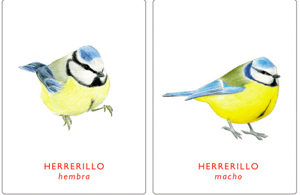 Juego de memoria. Un par de aves. - Imagen 3