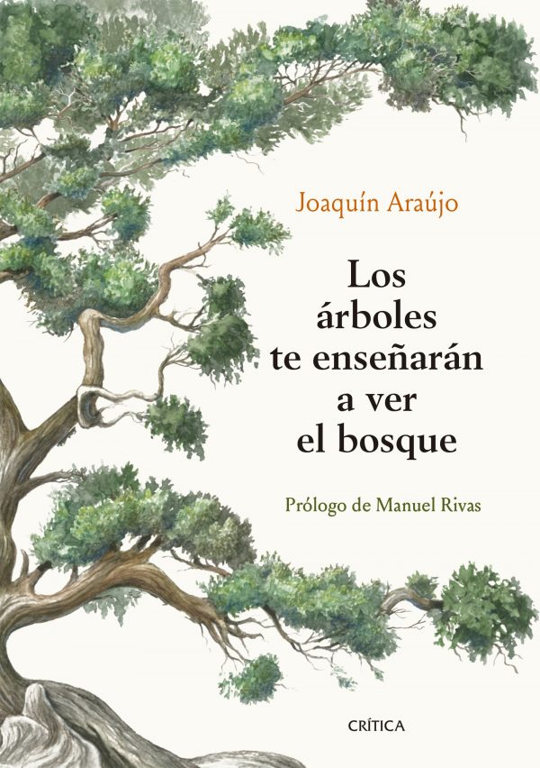 Los árboles te enseñarán a ver el bosque