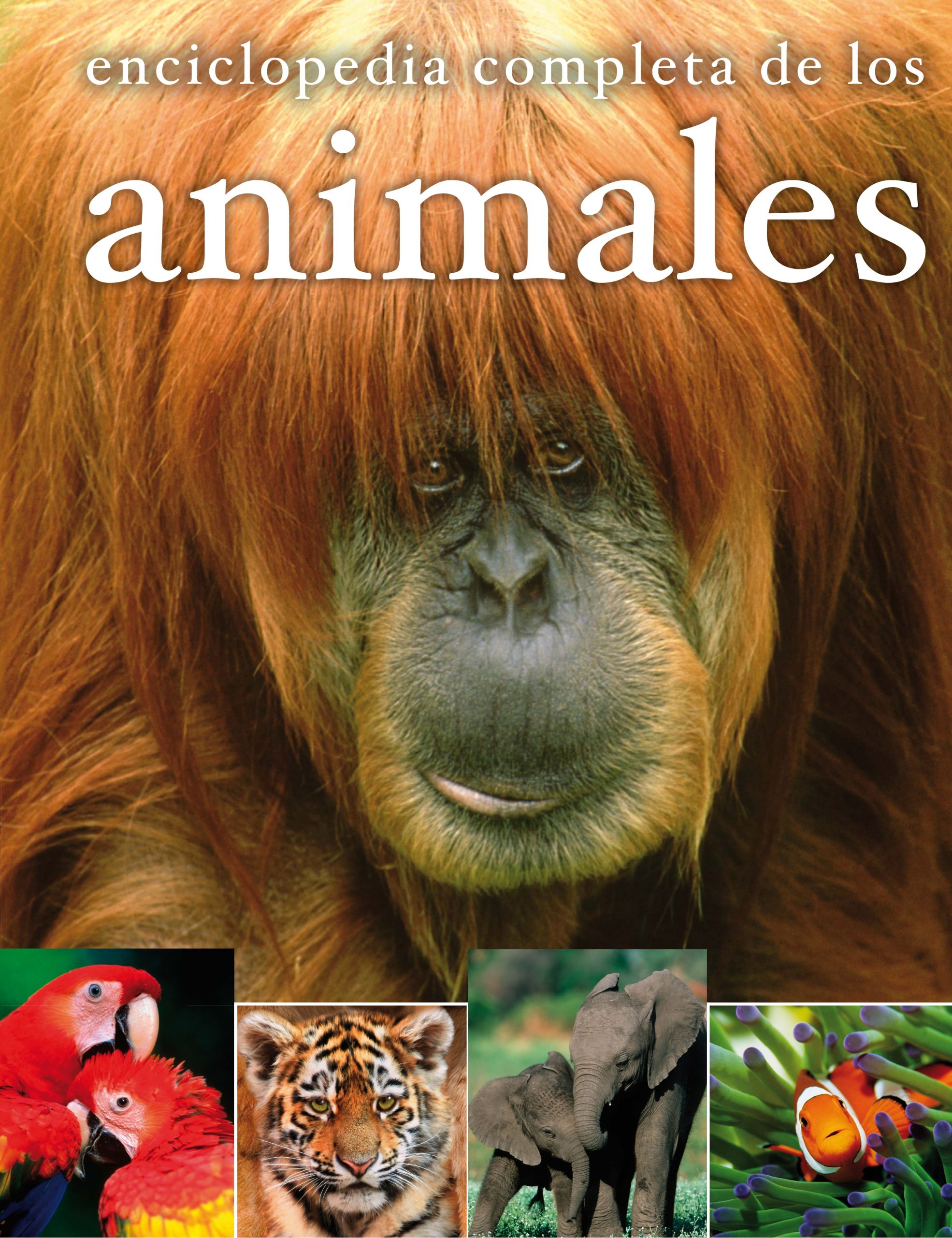 enciclopedia completa de los animales cantón 4