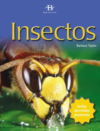 Insectos