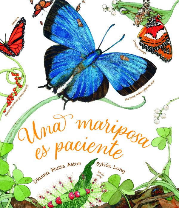 Una mariposa es paciente