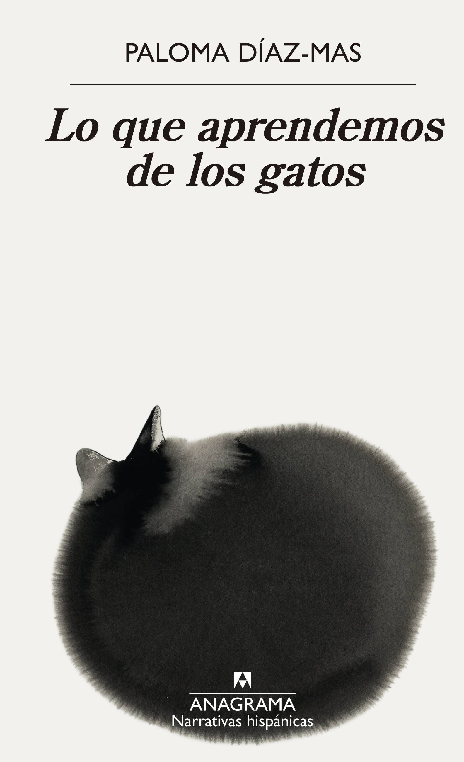 Lo que aprendemos de los gatos