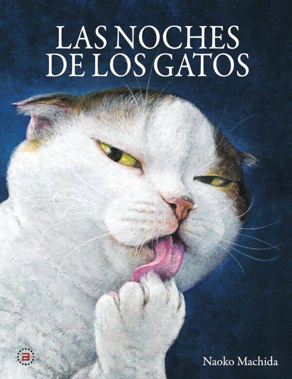 Las noches de los gatos
