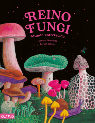 Reino Fungi (galego)